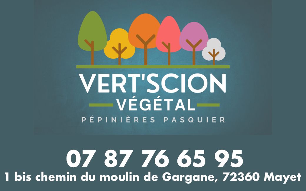 Trail 2025 Logo Sponsor VERT'SCION